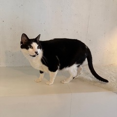 寂しいです、、