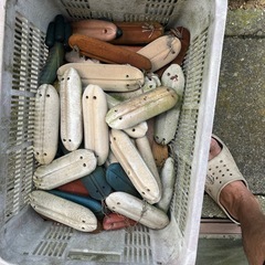 タブ浮き輪？の画像