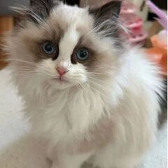 (*^^*)🎵仲良くして下さい🥳🧸