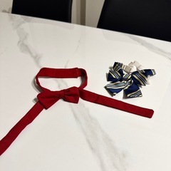 コスプレ用ヒロインセーラー服上下セット　おまけ付きの画像