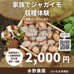じゃがいも収穫体験(さいたま市・大宮・浦和・川越・川口・与…