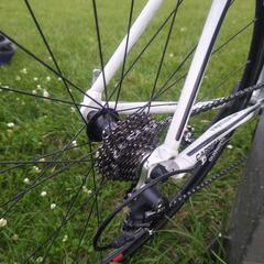 2011 カレラ　ロードバイク　175cm　通勤、トレーニング　フレームサイズ56の画像