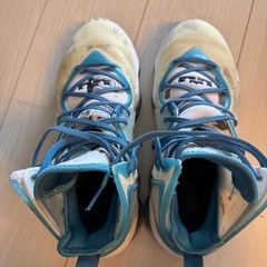 NIKE ナイキ LEBRON XIXレブロン 19の画像
