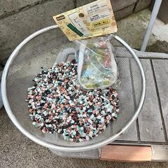 金魚飼育セットの画像