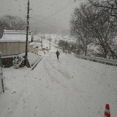 全国緊急で通話チャットグル男女募集中