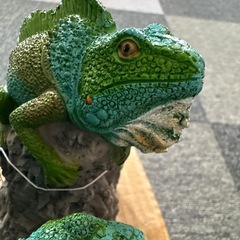 イグアナ置物　玄関やガーデニングにの画像