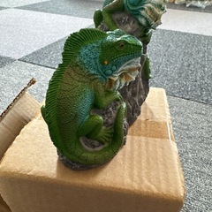 イグアナ置物　玄関やガーデニングにの画像