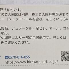 ザブーン　ザ・ブーン入場券（枚方パーク　ひらかたパーク　ひらパー...