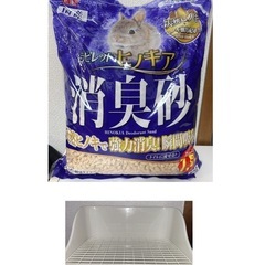 消臭砂とトイレ