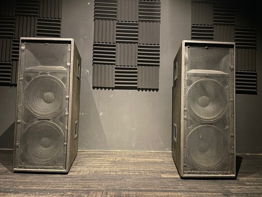 PAスピーカー PEAVEY DTH 4215 ペア