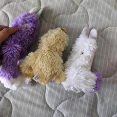 レア！バンダイおねがいかなえてギョロっぴー
ぬいぐるみ3体の画像