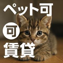 ⭐️1ヶ月家賃無料⭐️一軒家に住みませんか？⭐️ペット可⭕️敷金...