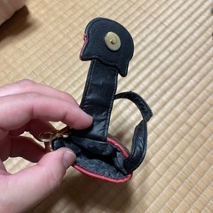 猫のケースの画像