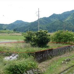 東雲駅前の空地①102.47㎡(30.98坪) ②201.89㎡(61.07坪） - 土地販売/土地売買