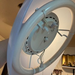 電気💡の画像