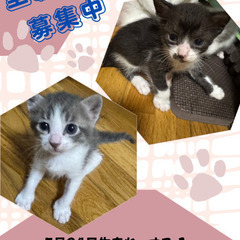 5月24日生まれ♂オス