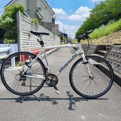カメレオンテの中古が安い！激安で譲ります・無料であげます