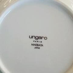 0627-076 皿　ungaroの画像