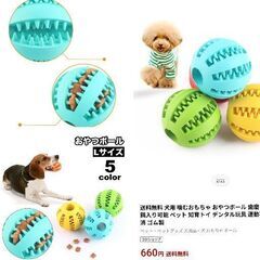 ペット/おやつボール（1度使用）洗浄済み/イエローの画像