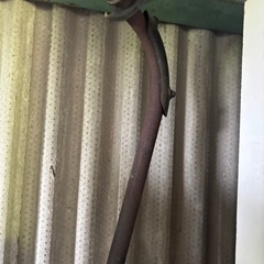 スズキ gs50 純正マフラーの画像