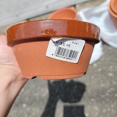 植木鉢 (1個の値段)