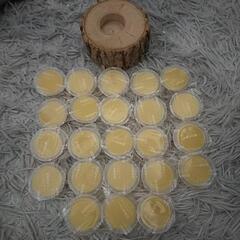 切り株と昆虫ゼリー