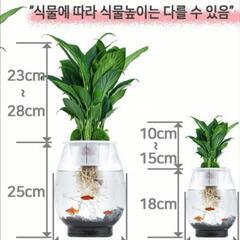 アキュポット(AQUPOT) M　金魚鉢+植木鉢　加湿と空気清浄効果!!　韓国の画像