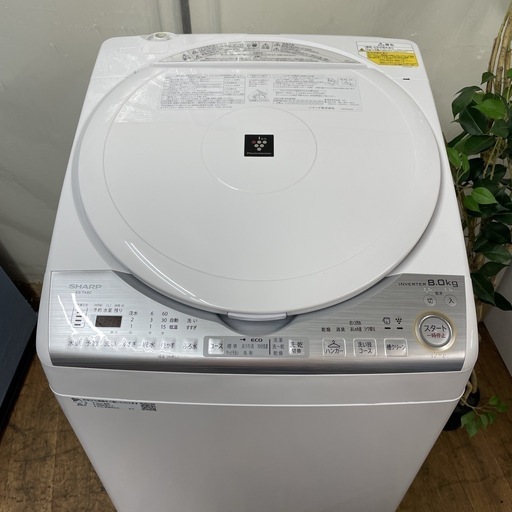 R245 ☀️ ジモティー限定特別価格！ プラズマクラスター搭載！SHARP 洗濯乾燥機 （洗濯：8.0㎏ 乾燥：4.5㎏）19年製 ES-TX8C ⭐ 動作確認済 ⭐ クリーニング済