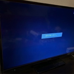 早い者勝ち　2023年製　32V型TV