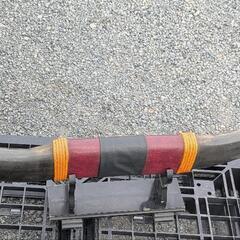 鹿児島発　水牛角？置物　引き取りできる方の画像