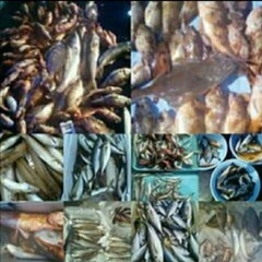 1️⃣ ラインオープンチャット　　　　【team釣りキチ！…