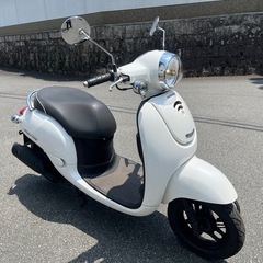 HONDA ジョルノ　原付 50cc