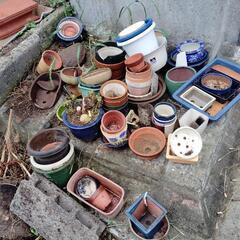 植木鉢色々セット