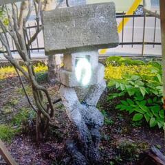 石の画像