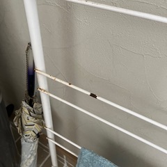 突っ張り式のラックの画像