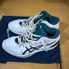 ASICS バスケットシューズ ホワイト/ダークグリーン　27cm TBF325の画像