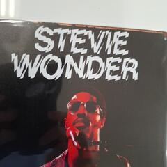 ⏹️アメリカの著名なミュージシャン、スティーヴィー・ワンダーの肖像画が描かれた30cm×20cmブリキ製の看板です。﻿の画像