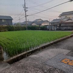 一緒にガーデニングをしましょう!