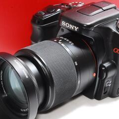 ★夏の輝きを捉える★SONY α 100で新しい景色を★