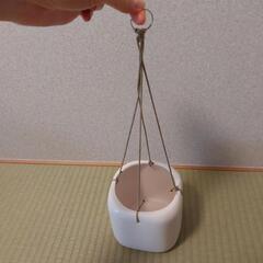 吊り下げ植木鉢？