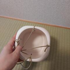 吊り下げ植木鉢？の画像