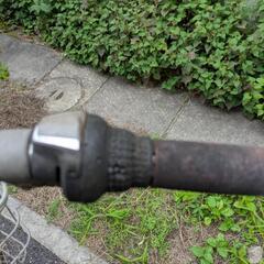 決まりました 自転車　大人用の画像