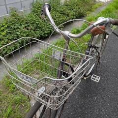 決まりました 自転車　大人用の画像