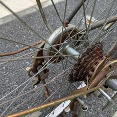 決まりました 自転車　大人用の画像