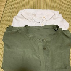 レプシムブラウス２枚組 の画像