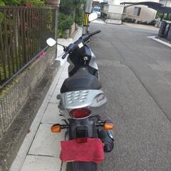 スズキ  アヴェニス150の画像