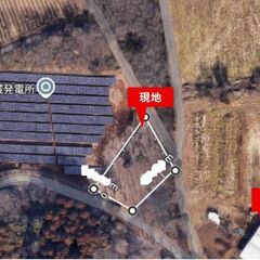 【東茨城町中石崎 売地のご案内】自然に囲まれた静寂の中にたたずむ、広々444坪の山林物件。 - 東茨城郡