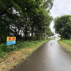 【東茨城町中石崎 売地のご案内】自然に囲まれた静寂の中にたたずむ、広々444坪の山林物件。 - 不動産