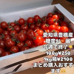 極甘🍅麗のミニトマト来週（月）で入荷終了です🙇‍♀️