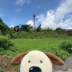 土地売ります!(^^)!300万円　隼人町見次　JR沿線沿　素敵な立地です - 土地販売/土地売買